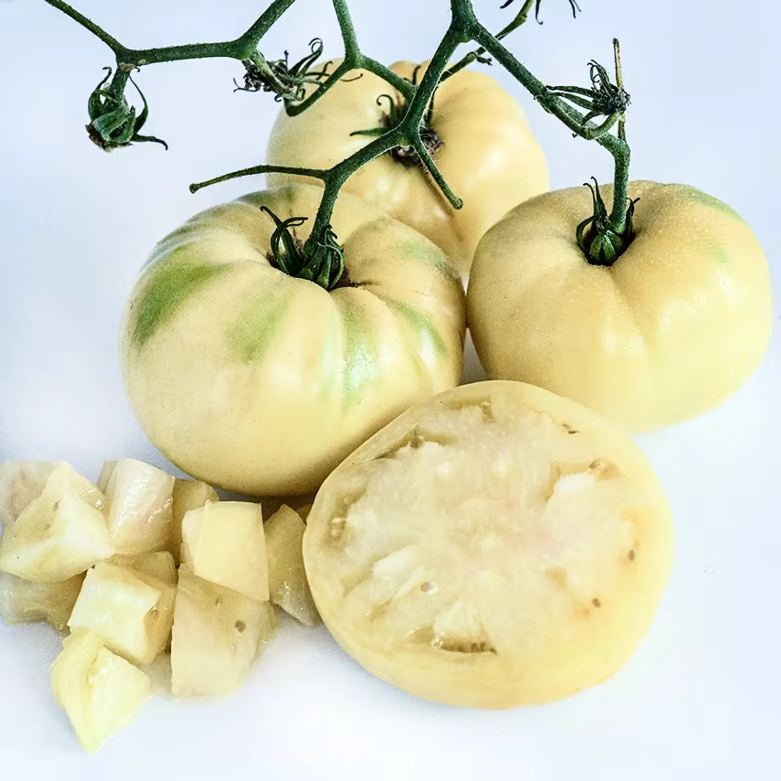 Great White Tomatoes