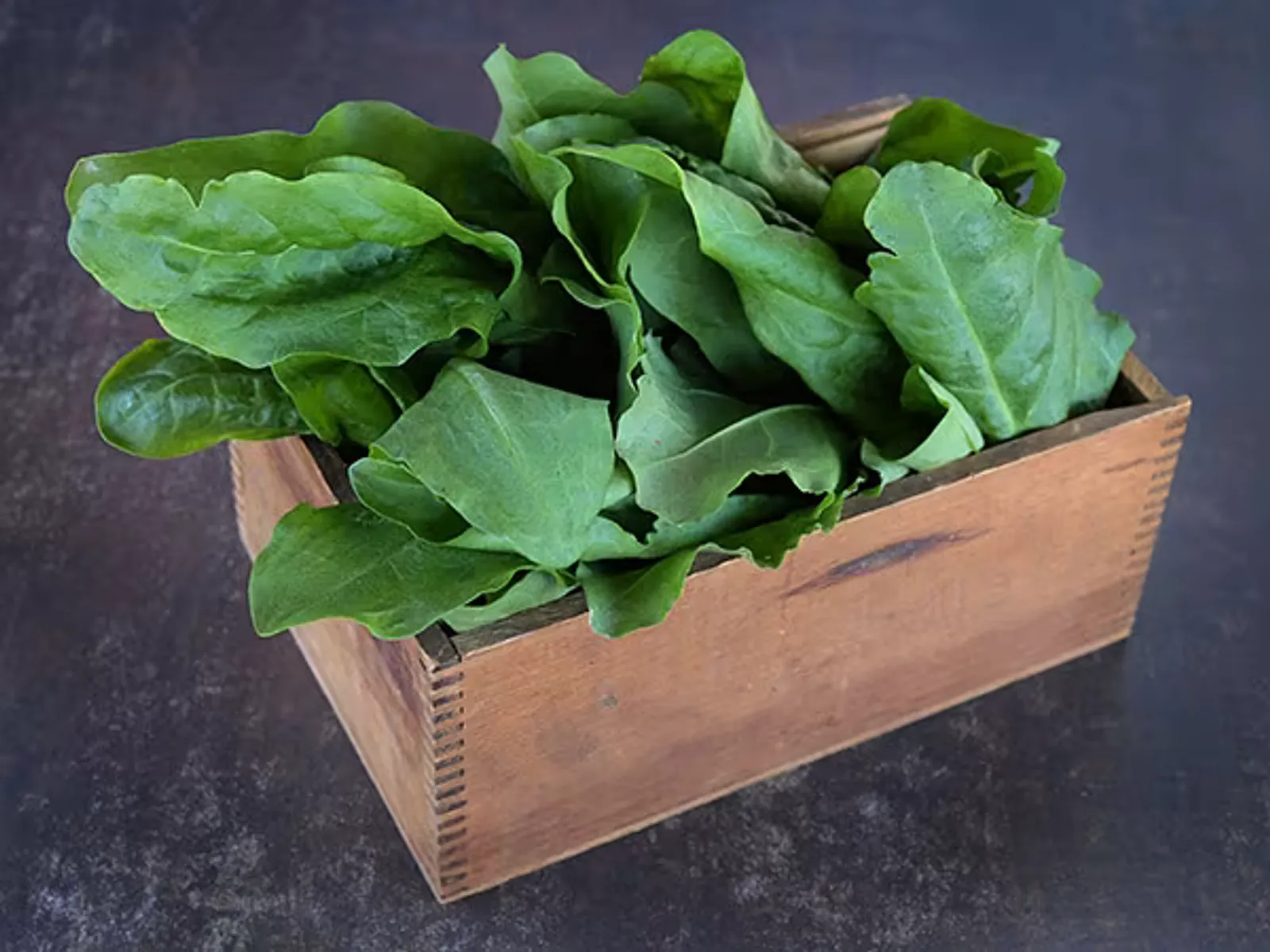 Green De Belleville Sorrel