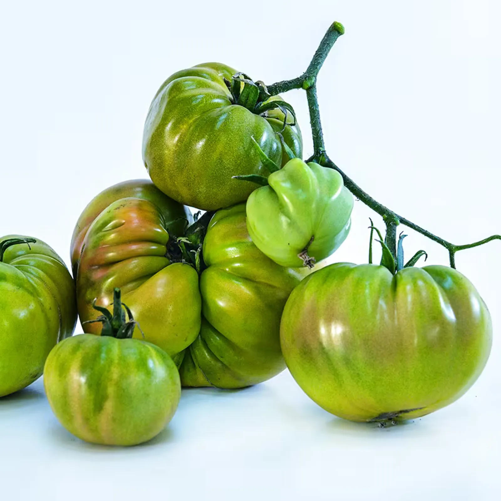 Green Giant Tomatoes