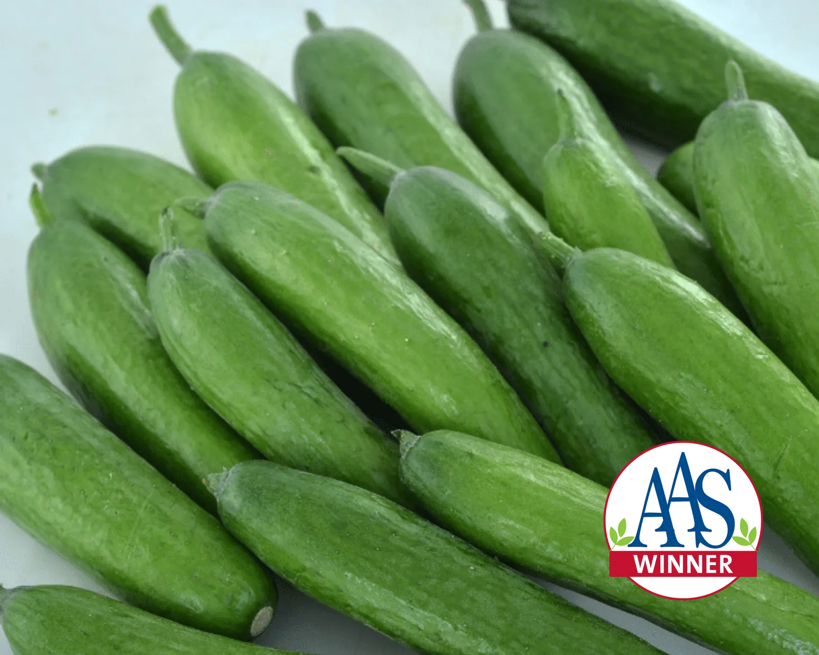 Green Light Cucumbers