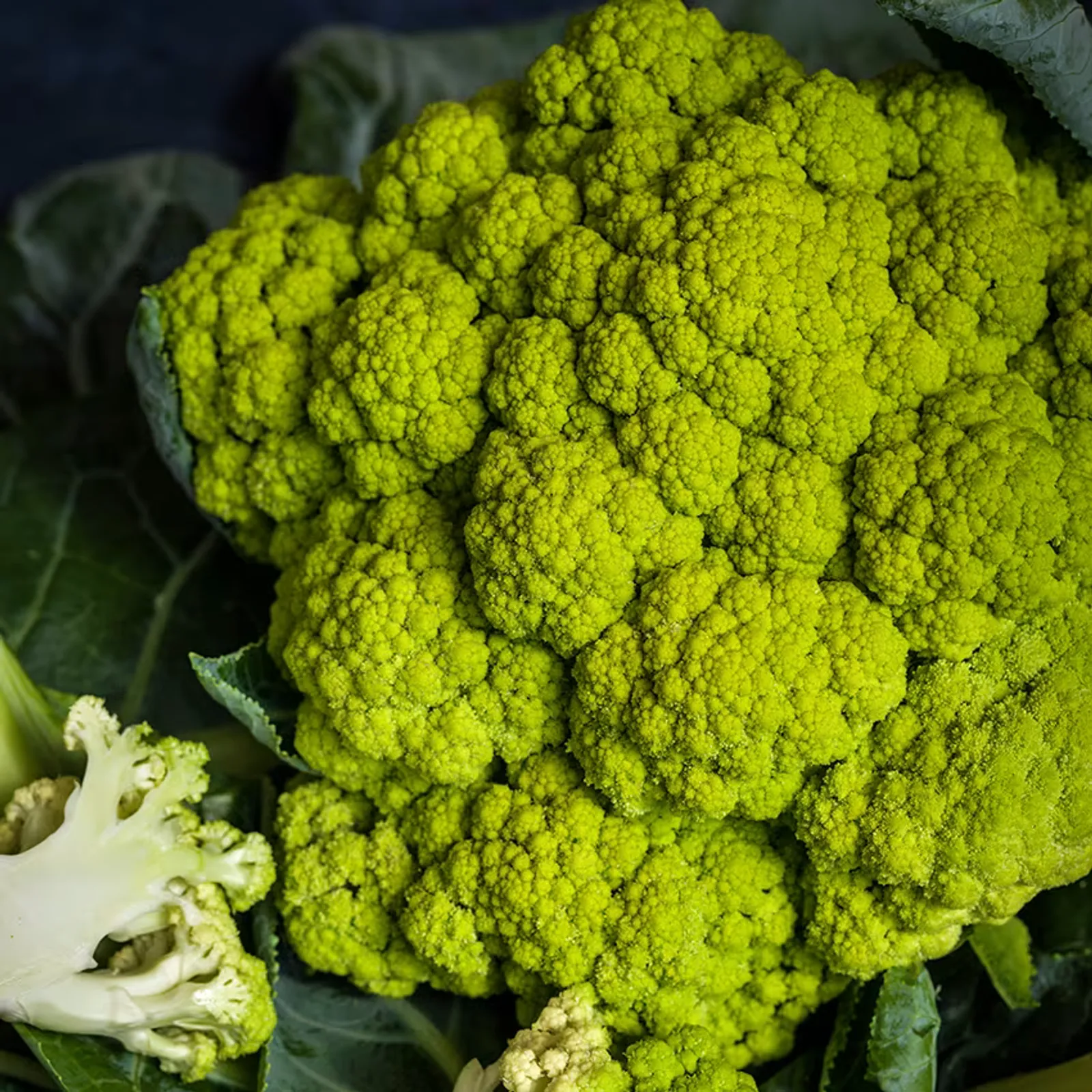 Green Macerata Cauliflower