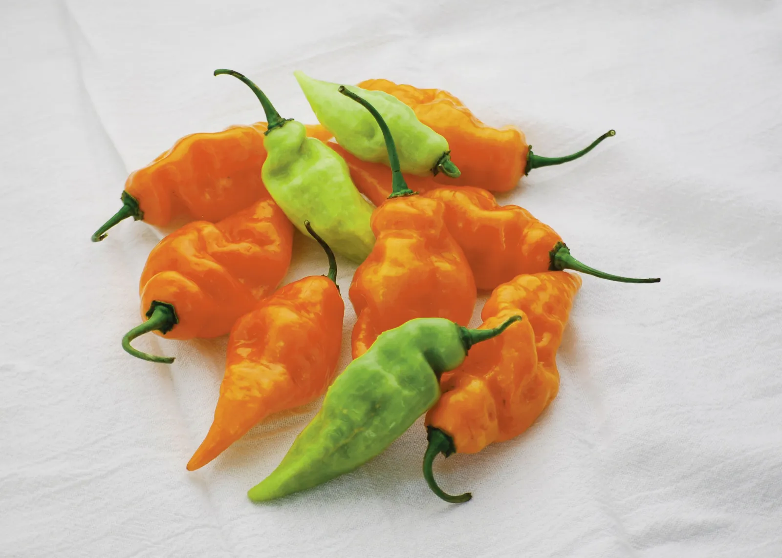 Habanada Peppers