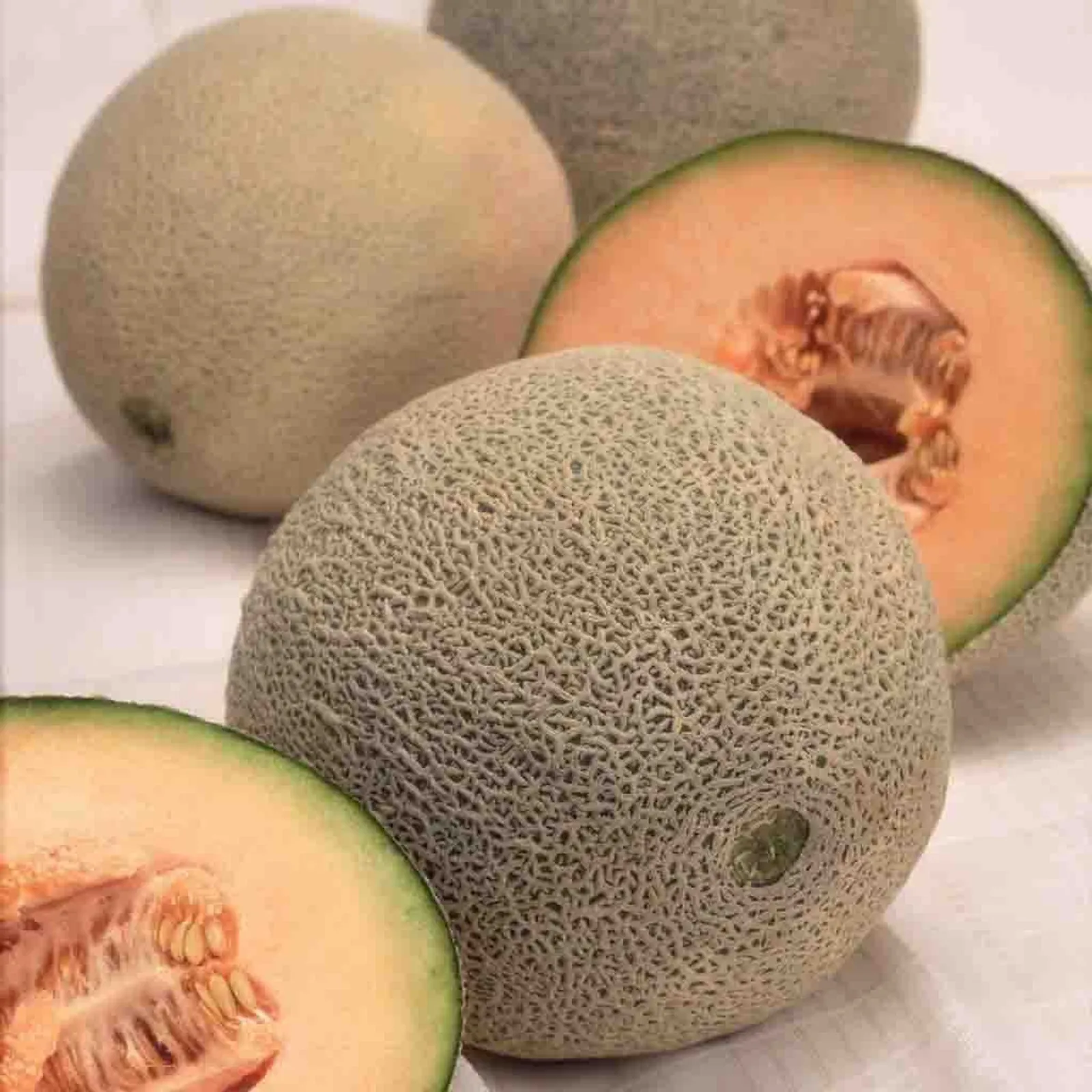 Hales Best Jumbo Cantaloupe