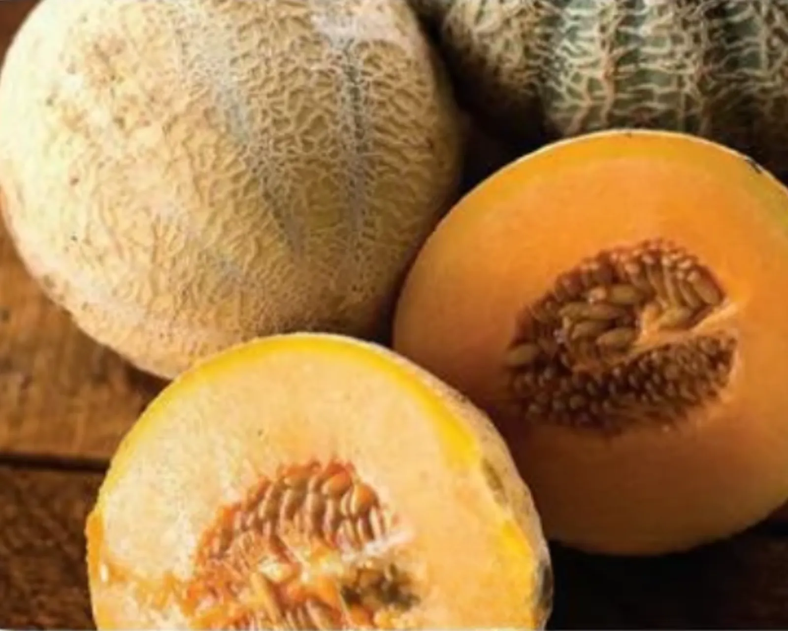 Halona Hybrid Melon Cantaloupe