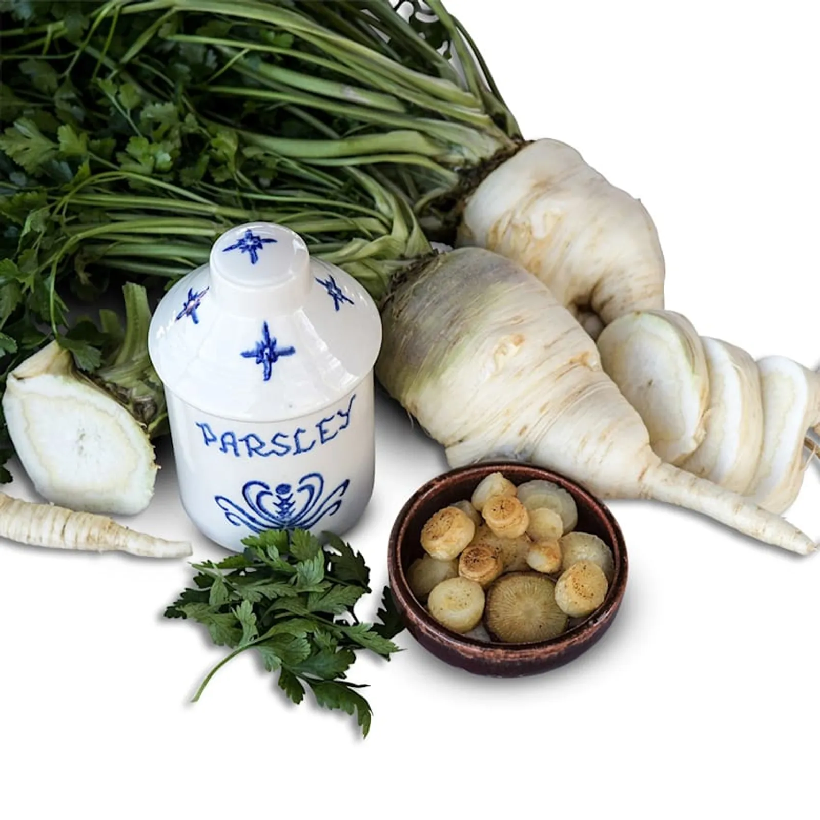Hamburg Rooted Parsley