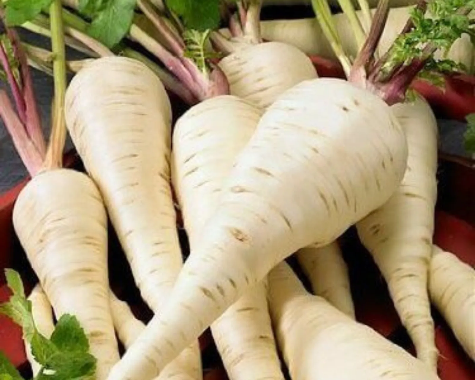 Harris Model Parsnips