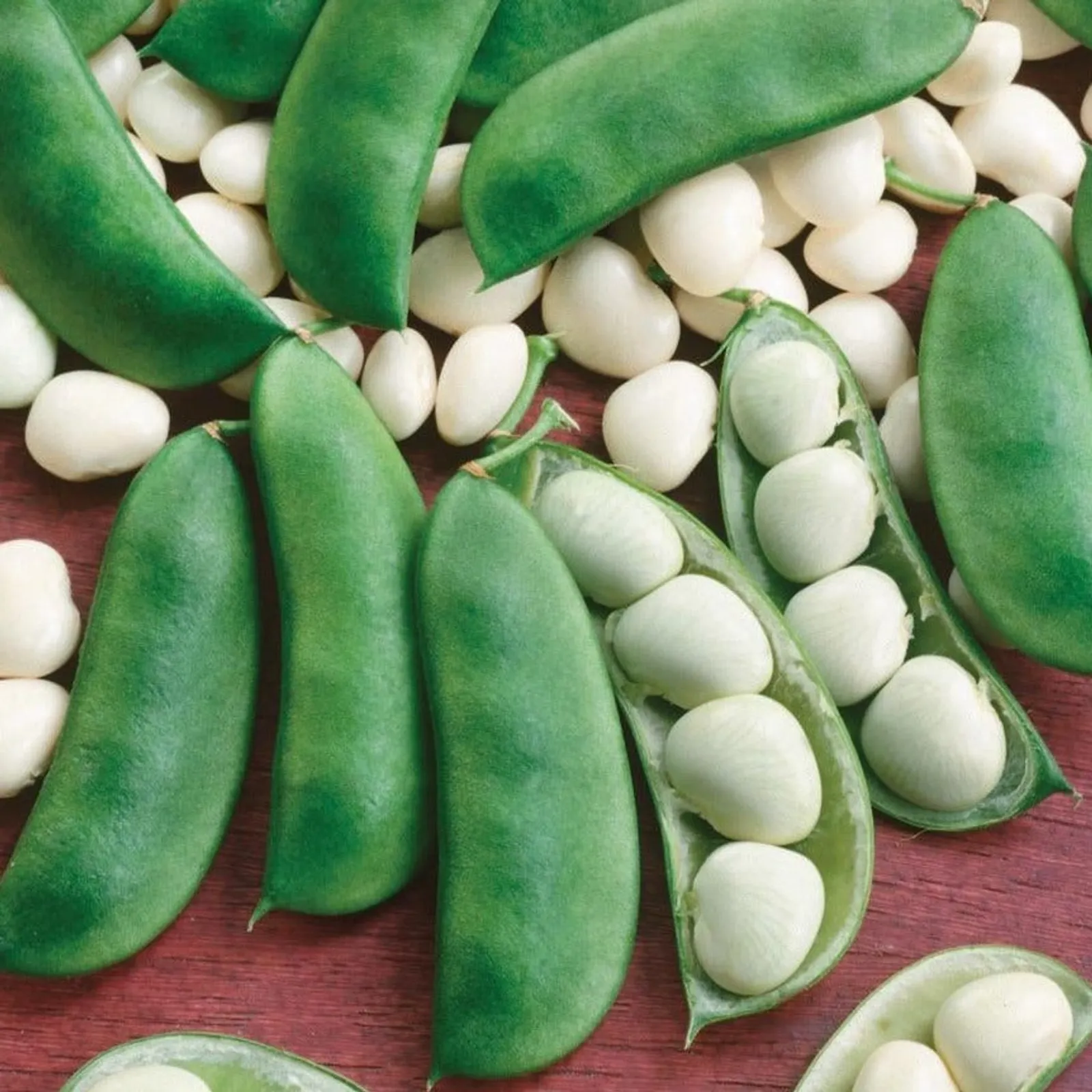 Henderson's Bush Lima Beans