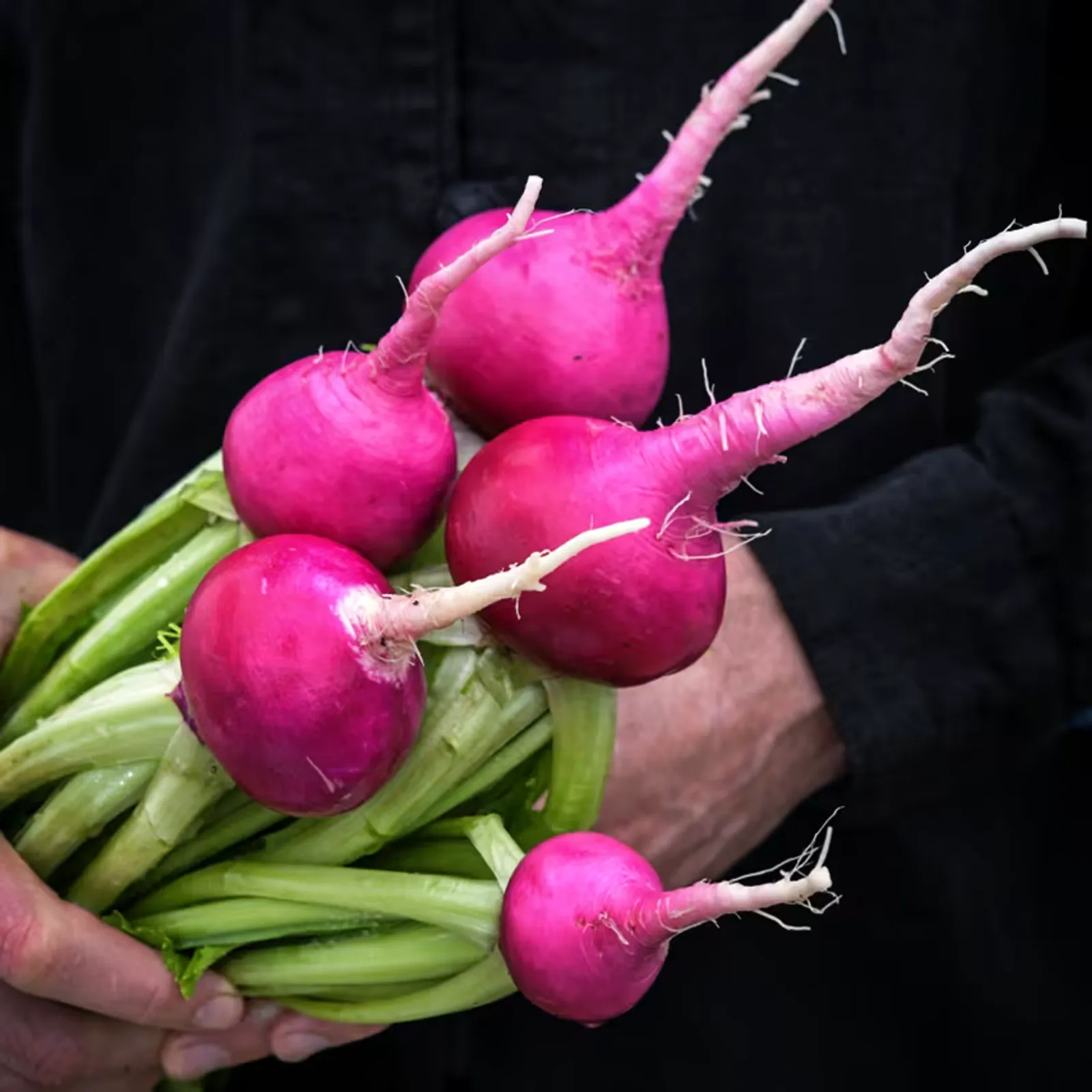 Hida Beni Red Turnips