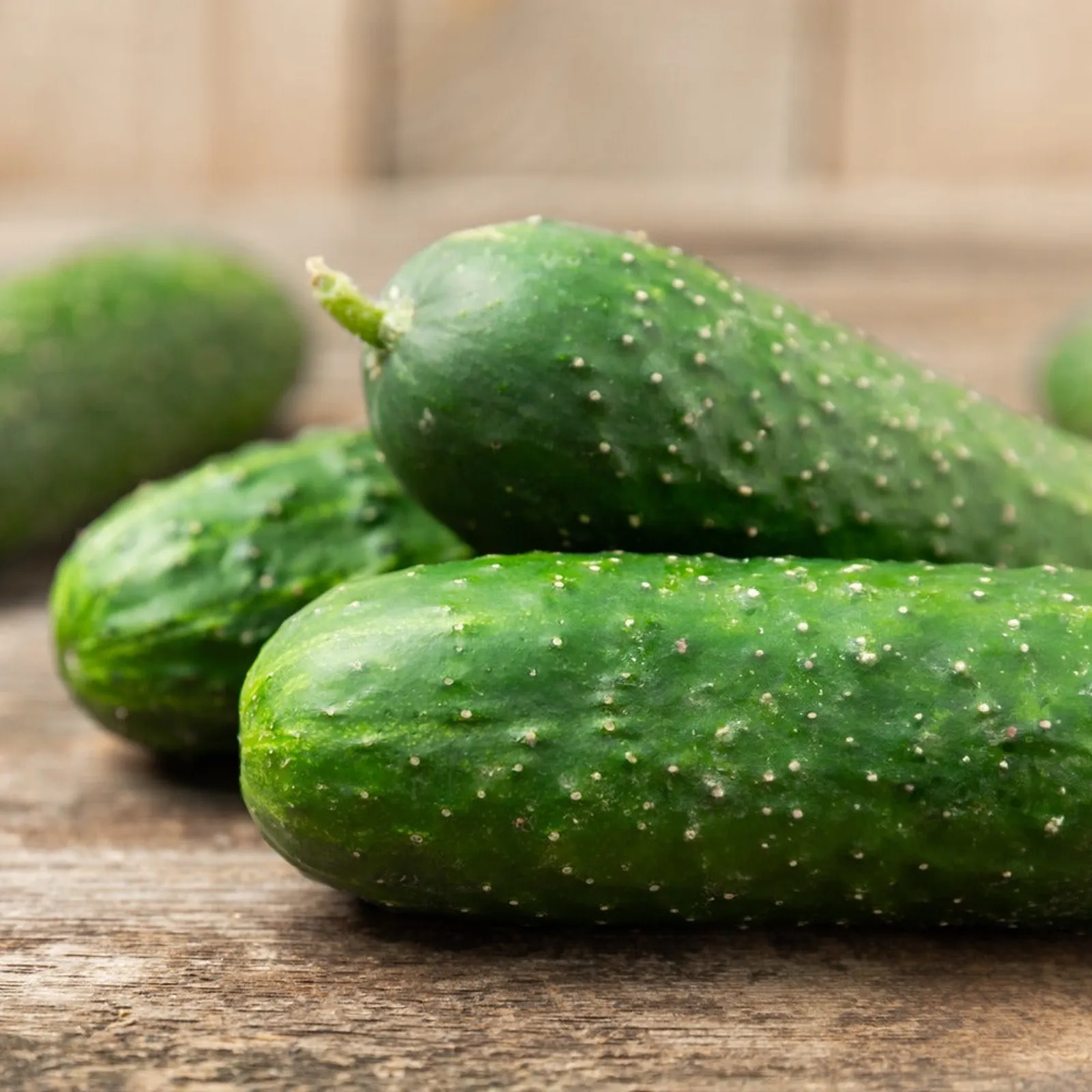 Hokus Gherkin Cucumbers