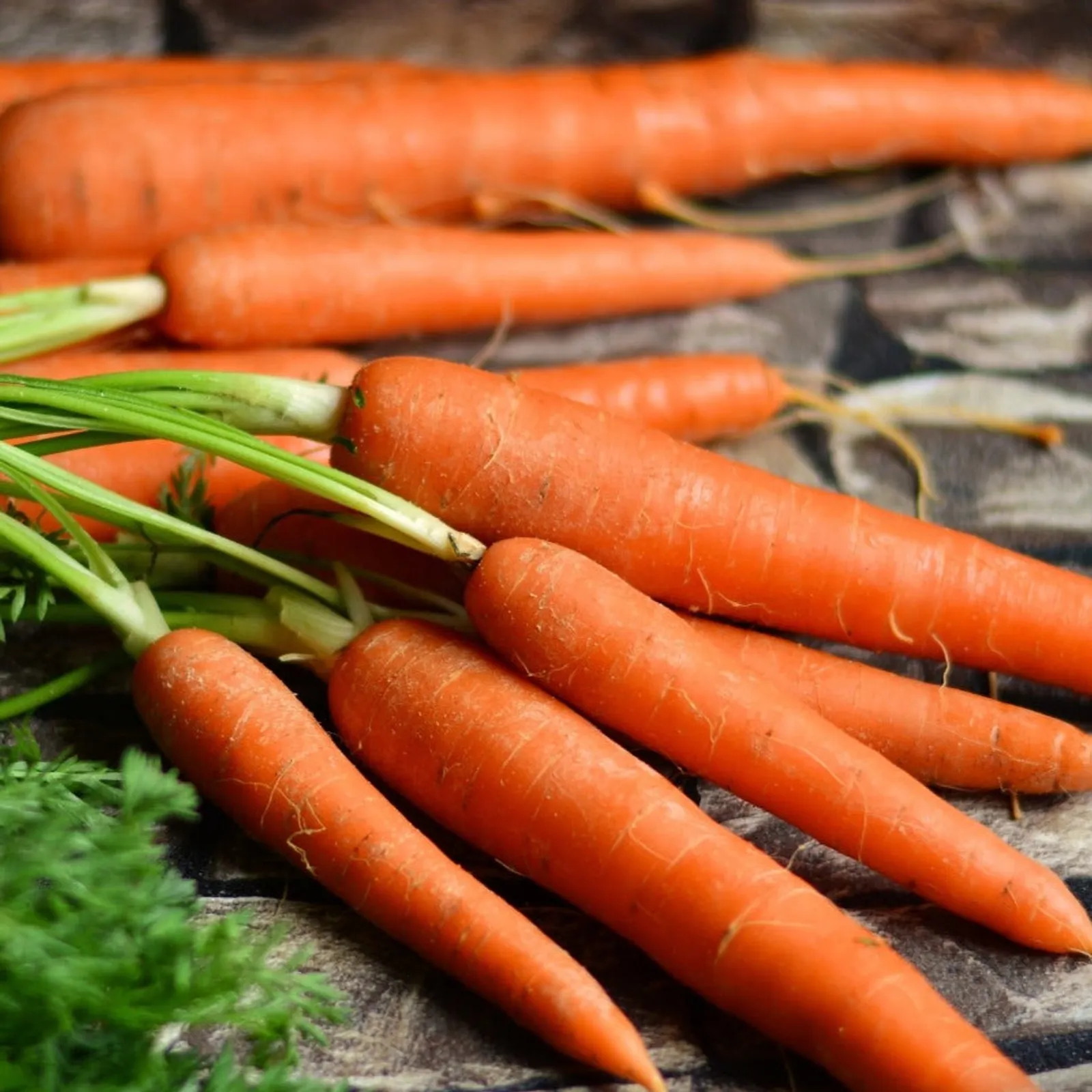 Imperator 58 Carrots