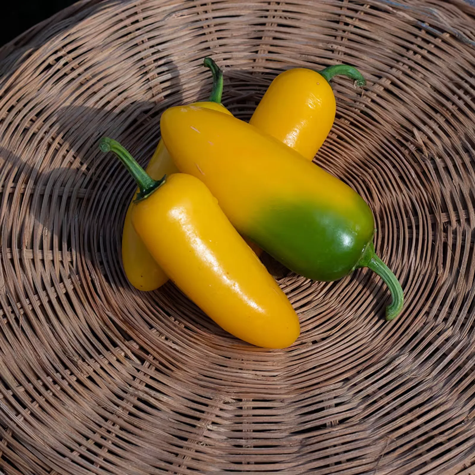 Jalapeño Lemon Spice Peppers