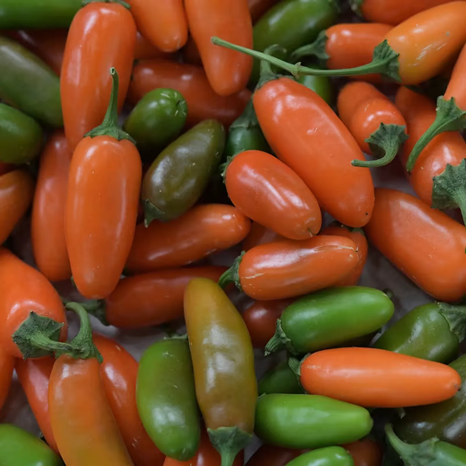 Jalapeño Orange Spice Peppers