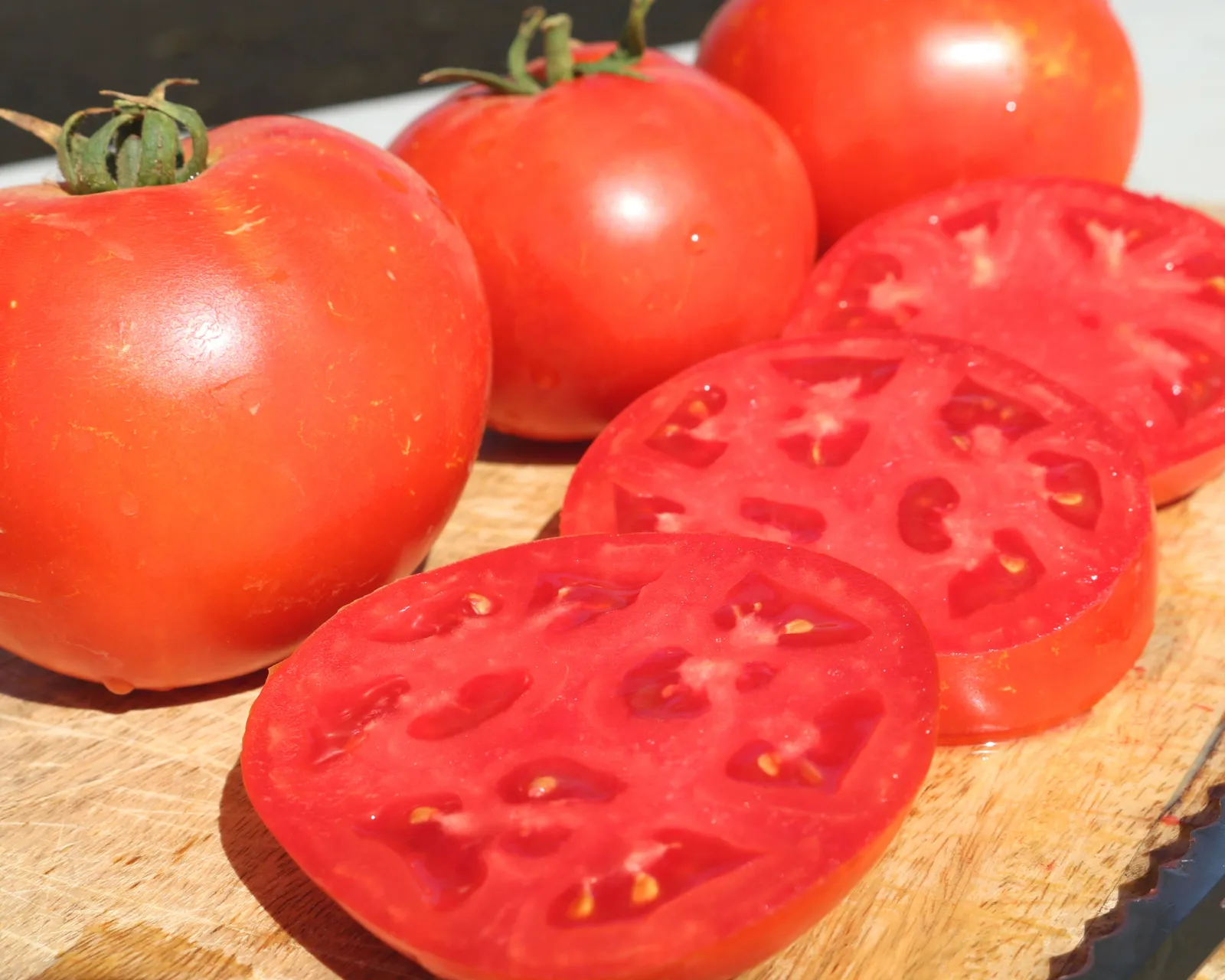 Jamestown Tomatoes