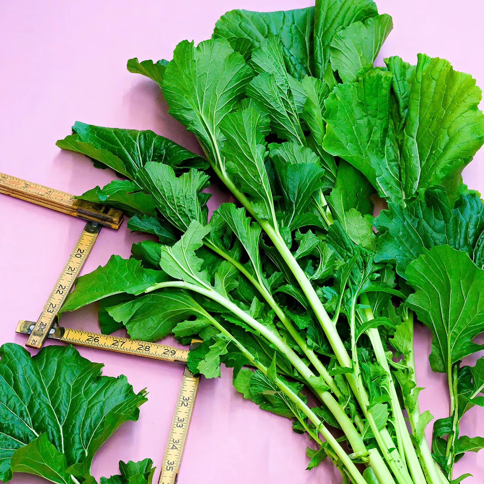 Japanese Snow Green Bok Choy