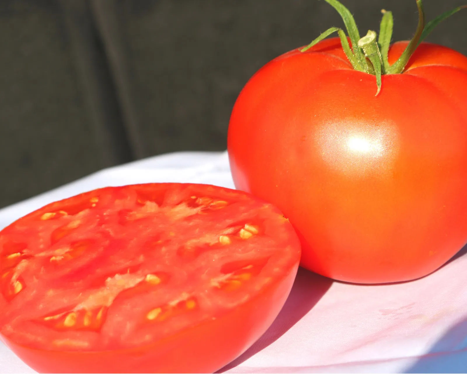 Jetsetter Hybrid Slicing Tomatoes