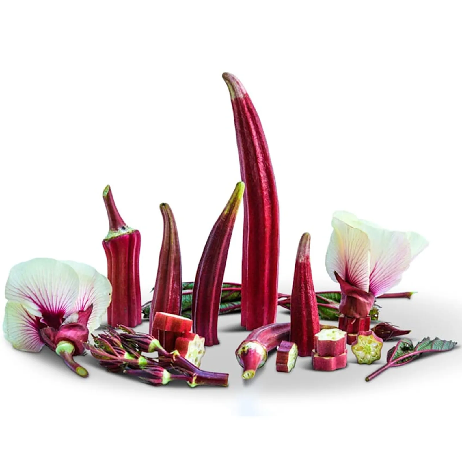 Jing Orange Okra