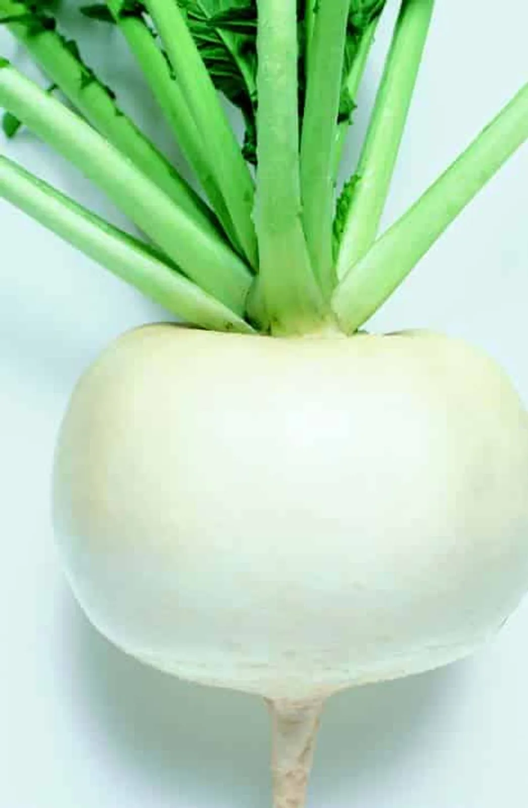 Just Right Turnips