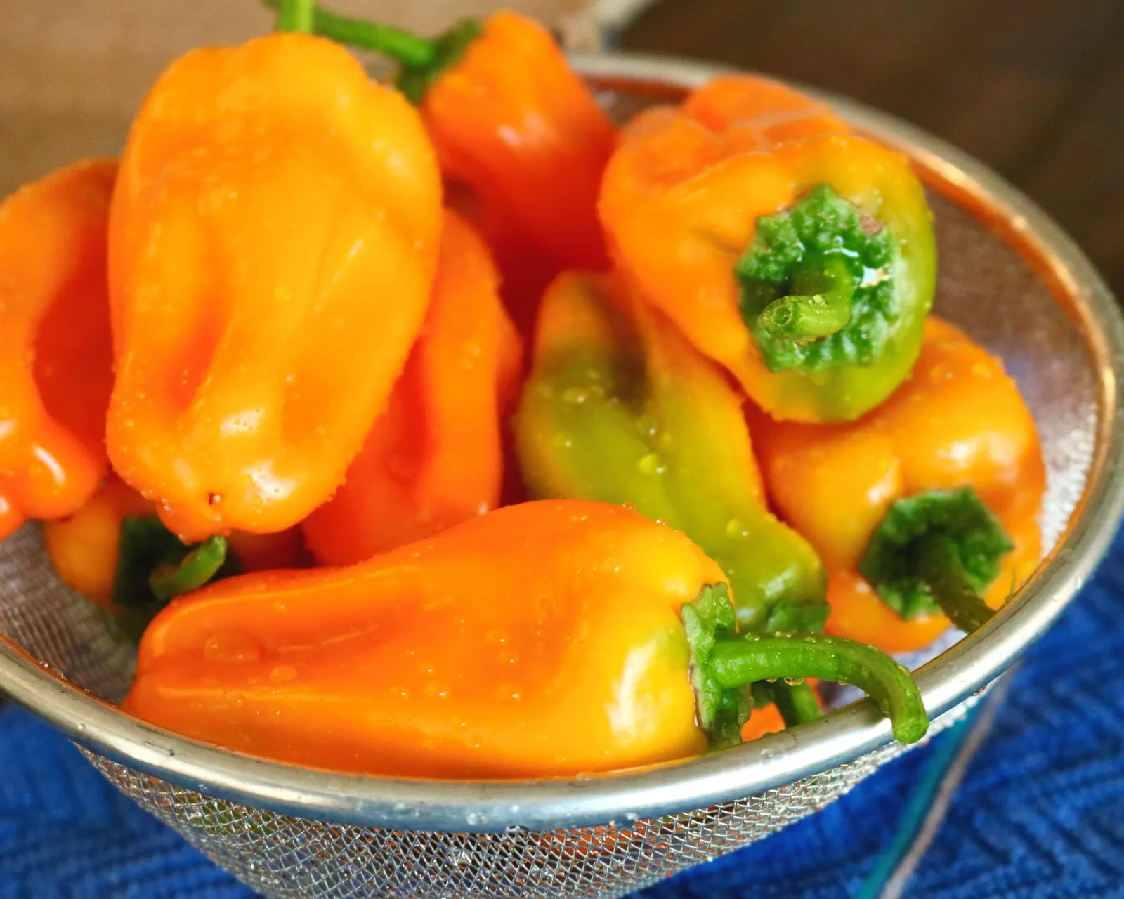 Just Sweet Hybrid Snack Peppers