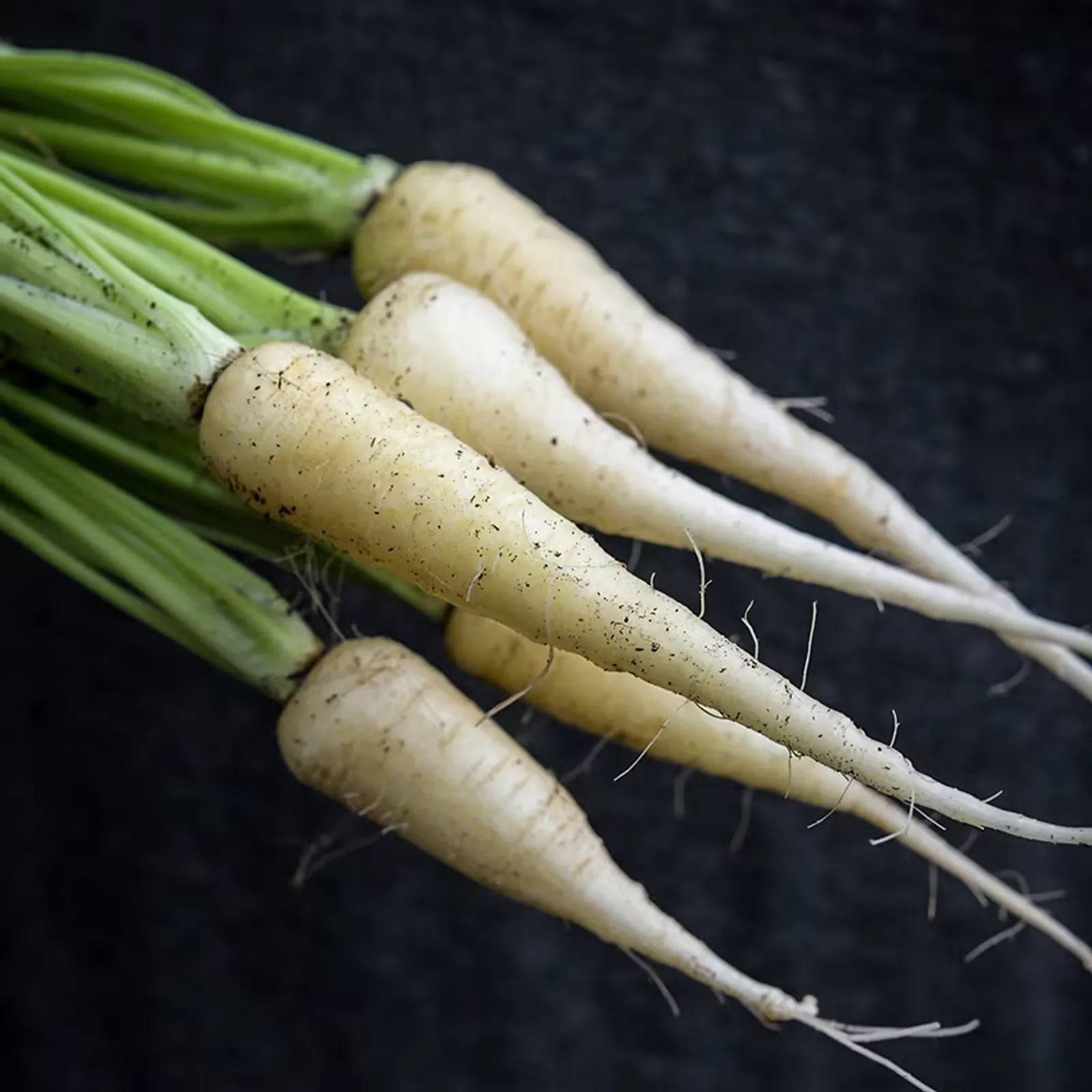 Küttiger Carrots