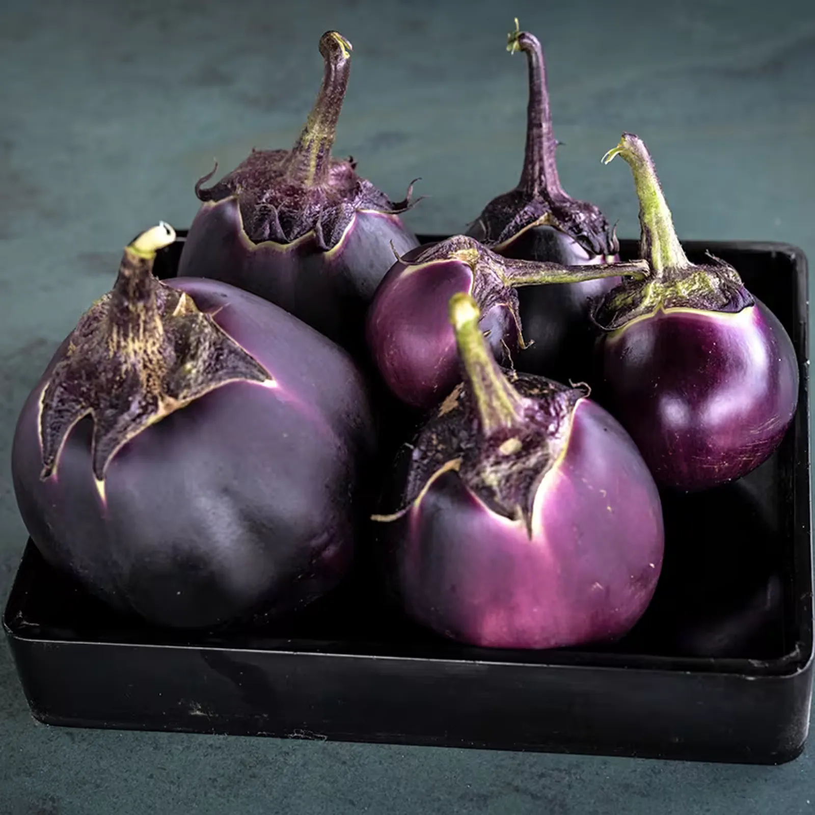 Kamo Eggplant