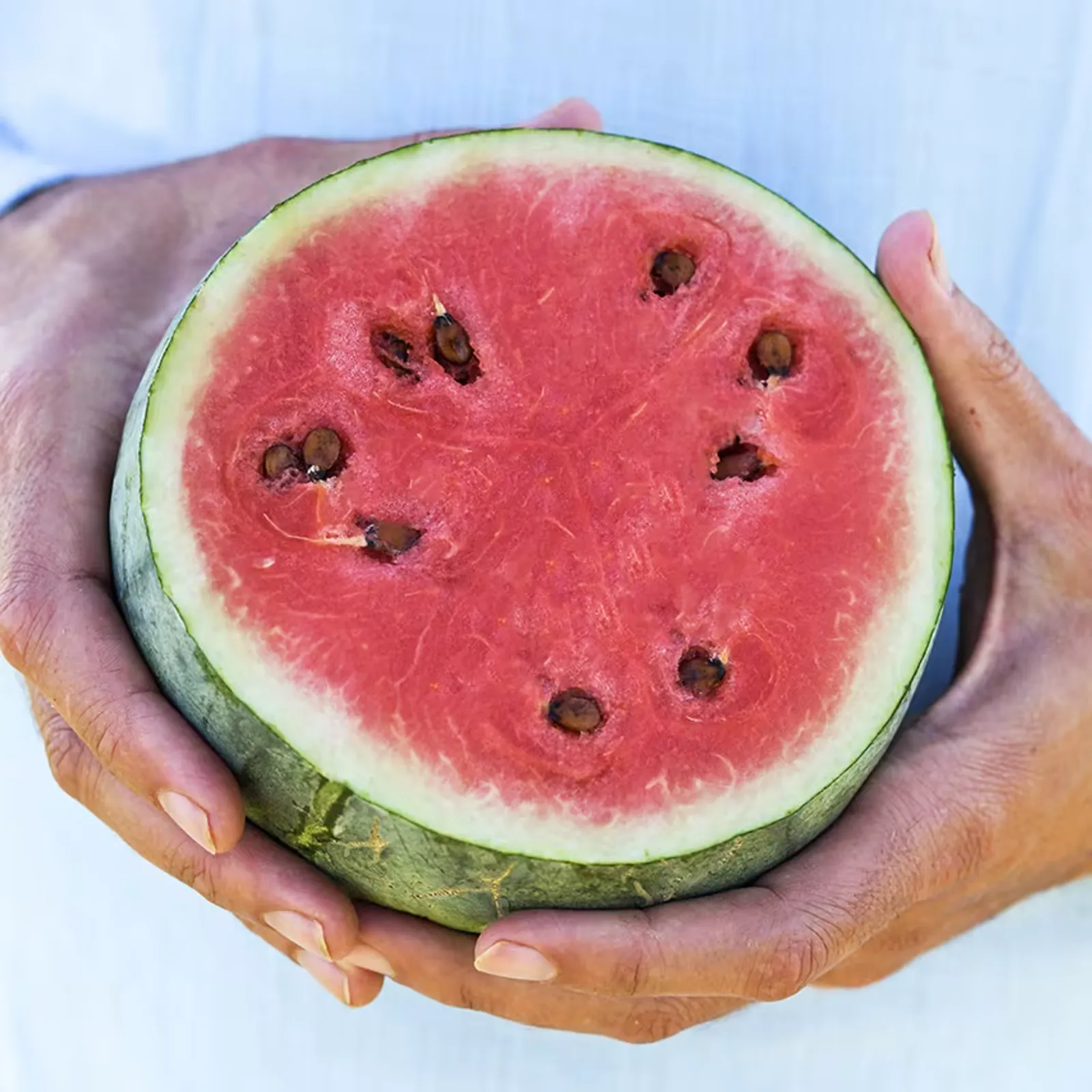 Katanya Watermelon