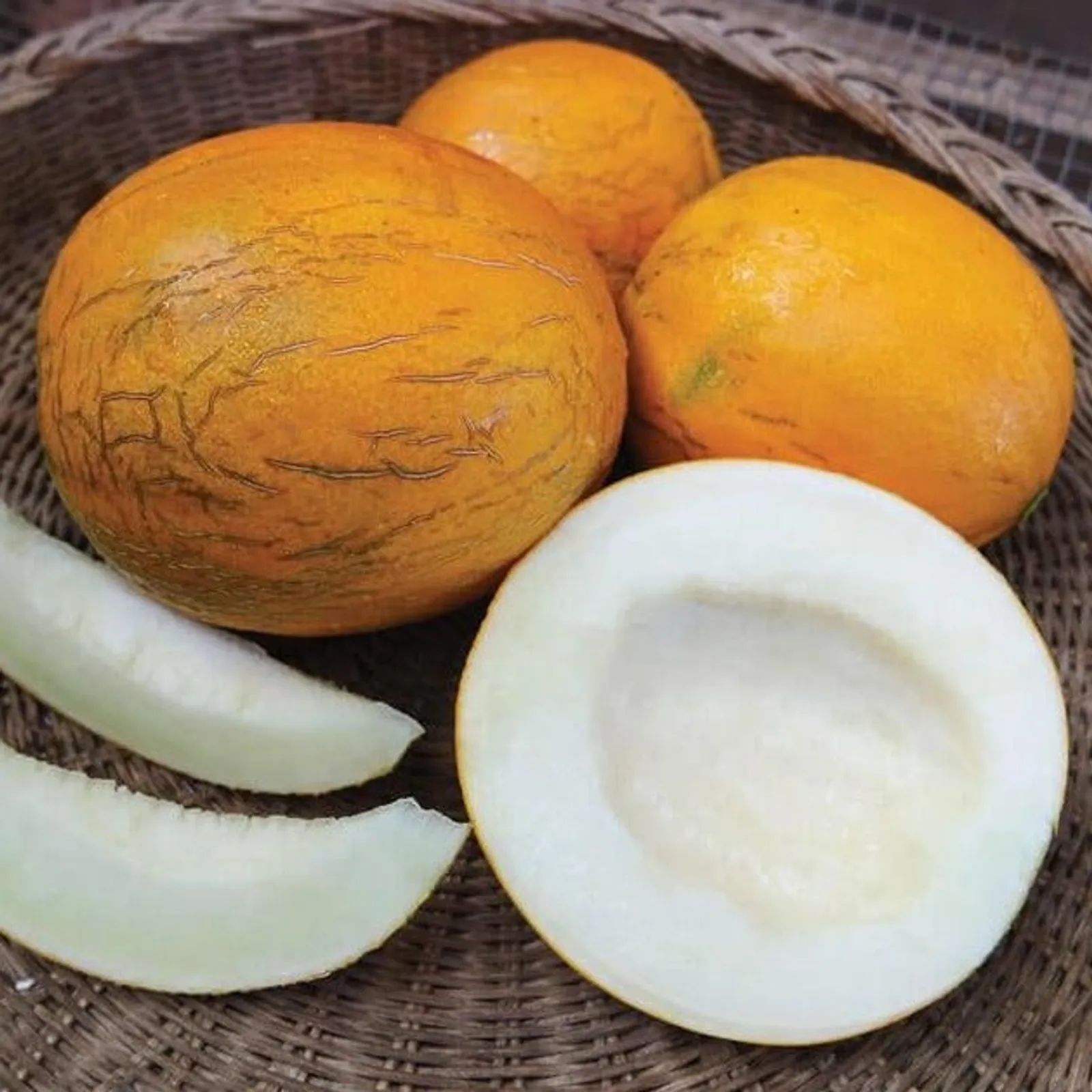 Kazakh Melon Cantaloupe