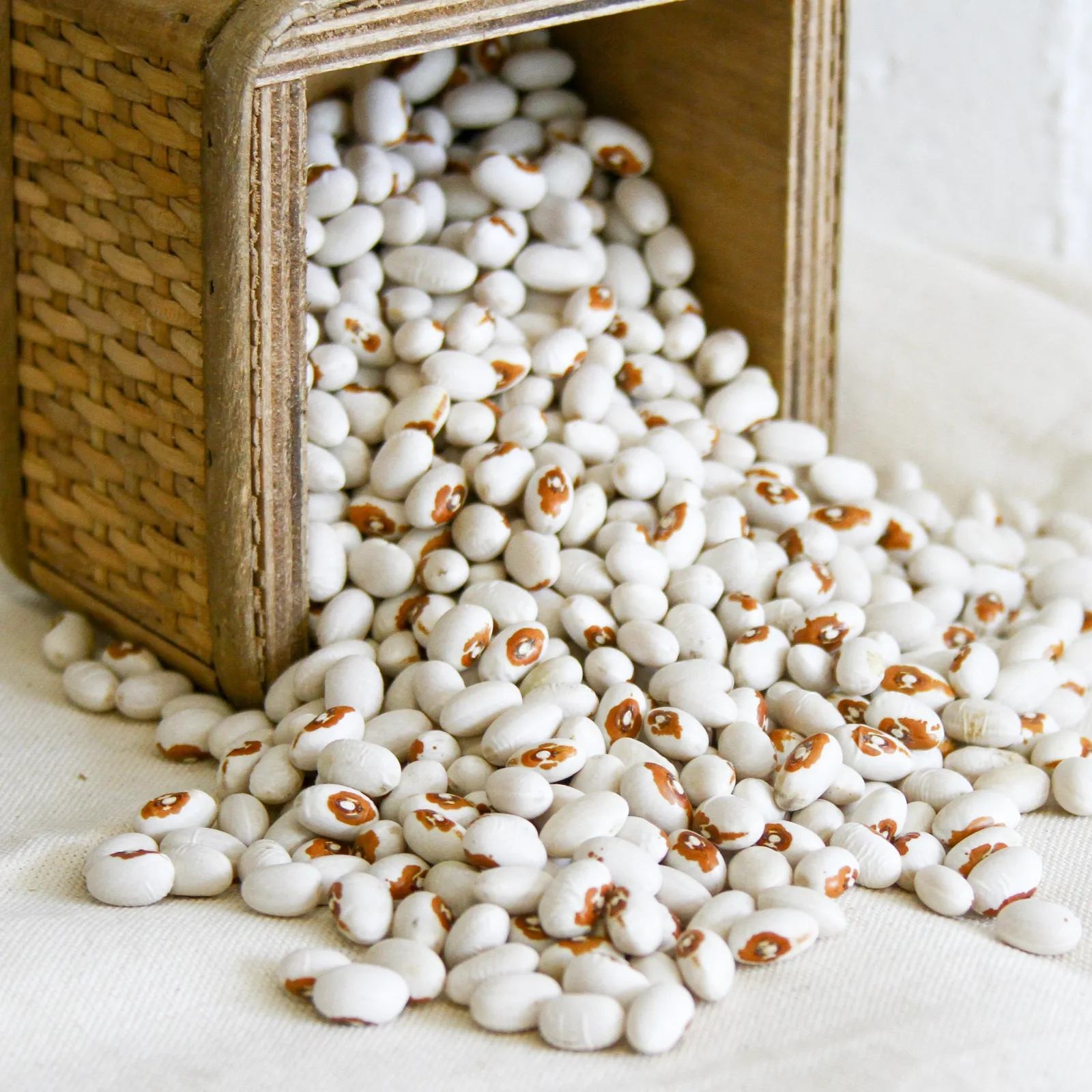 Kenearly Yellow Eye Beans