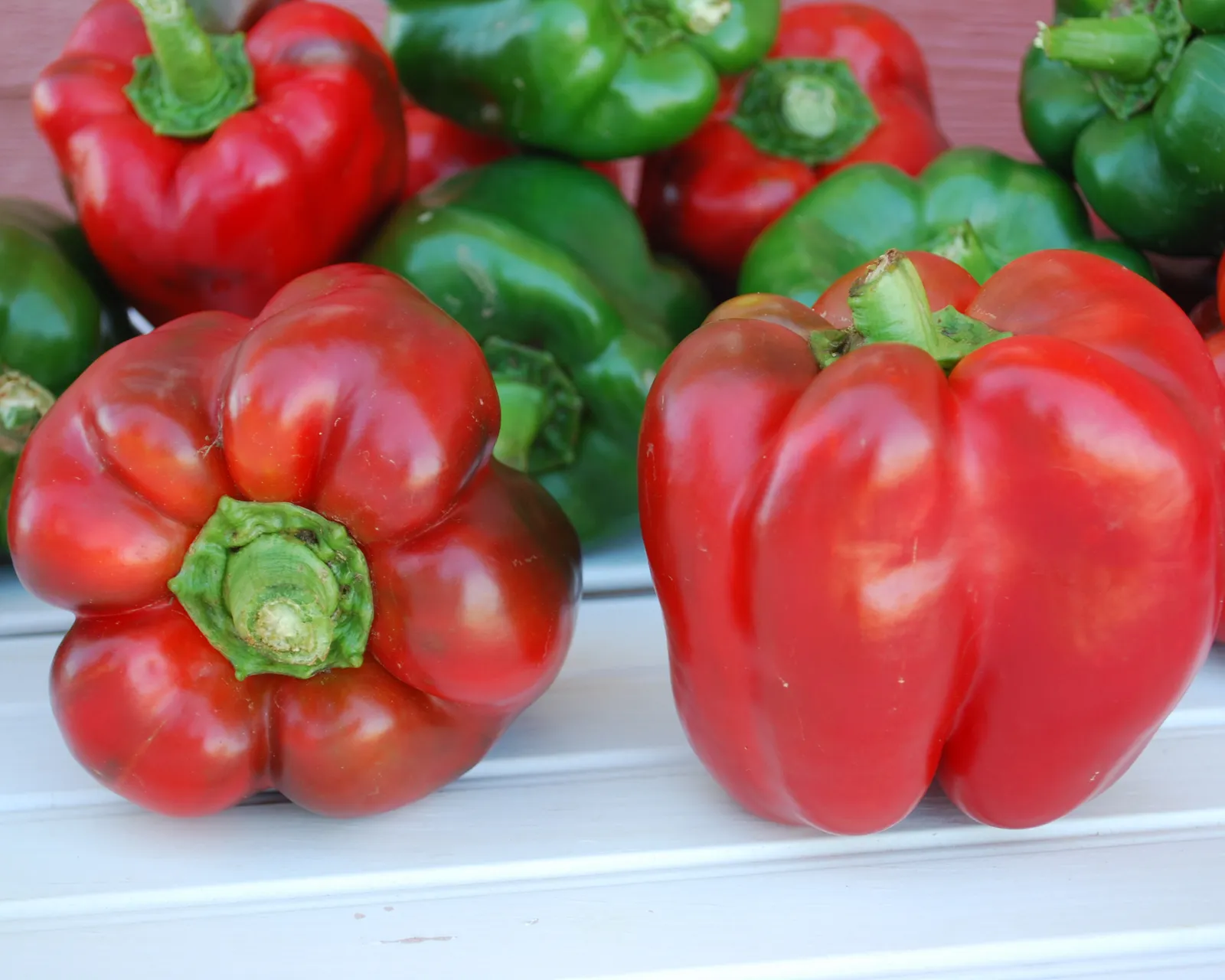 King of the North Peppers
