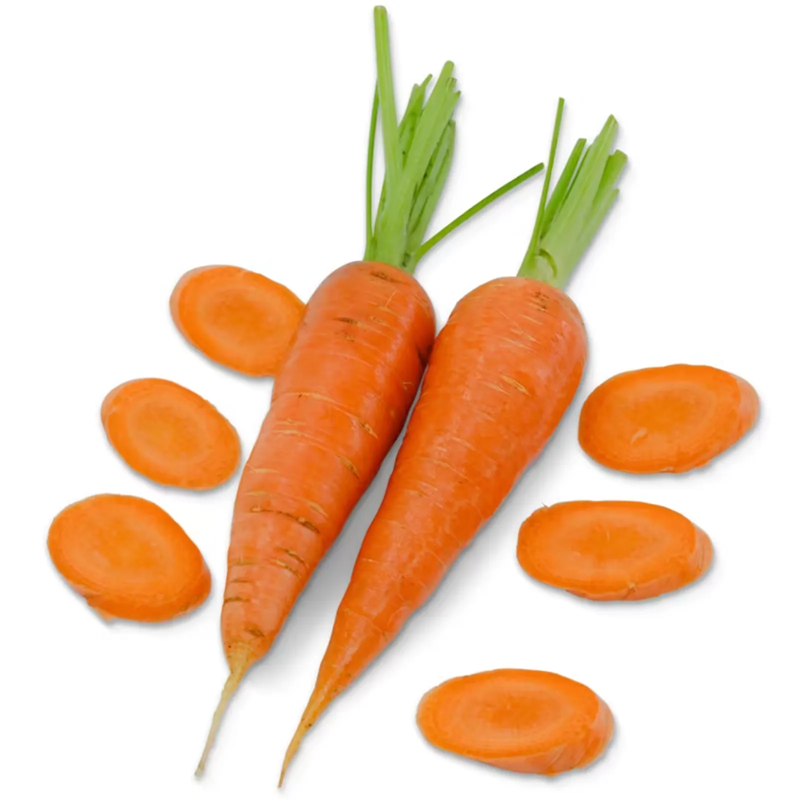 Koral Carrots