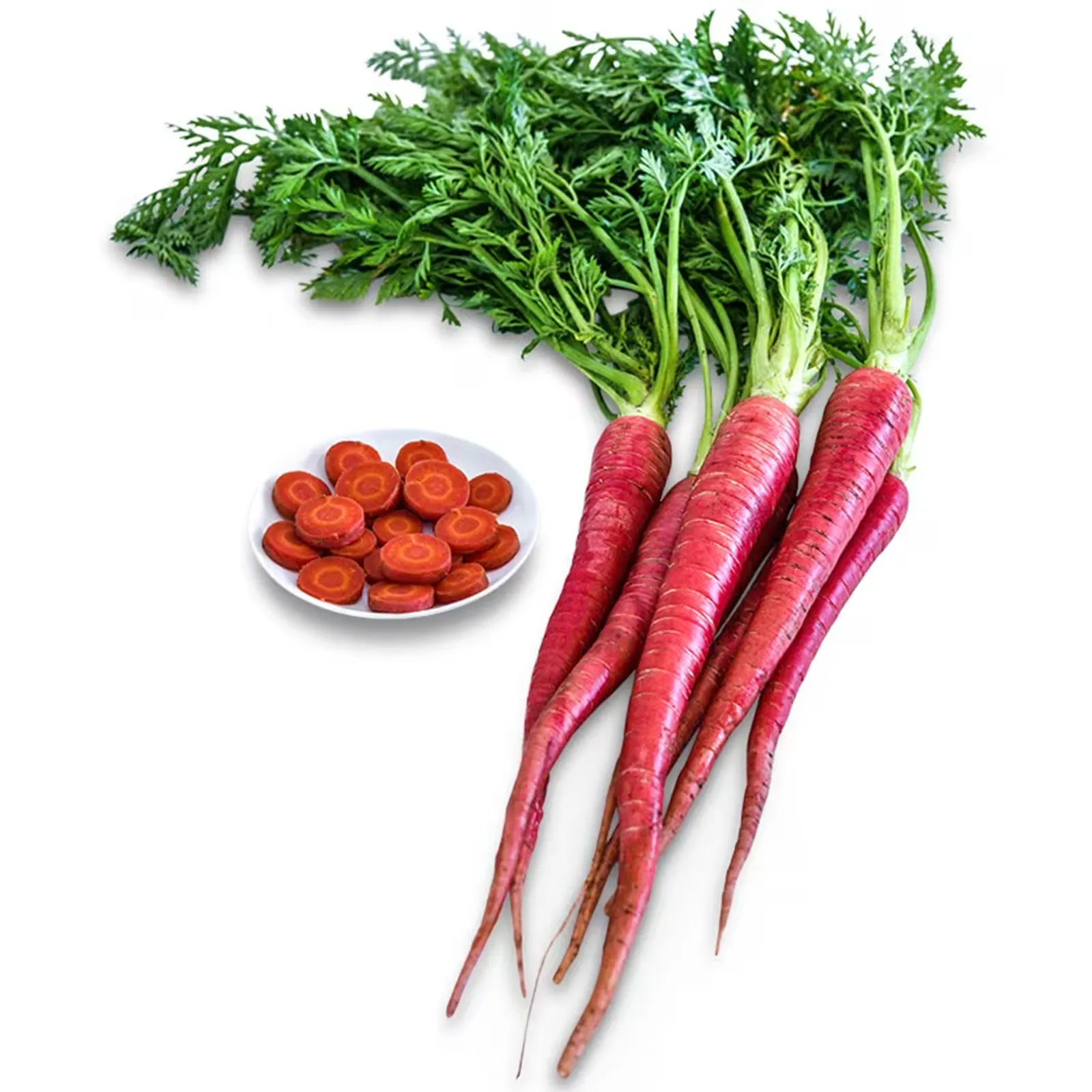 Kyoto Red Carrots