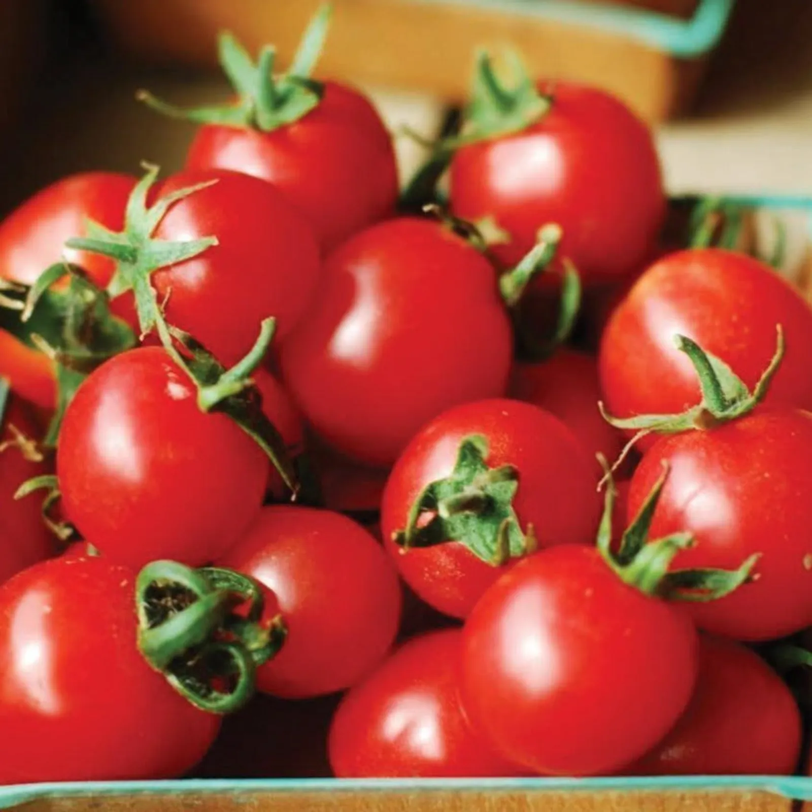 Large Red Cherry Tomatoes