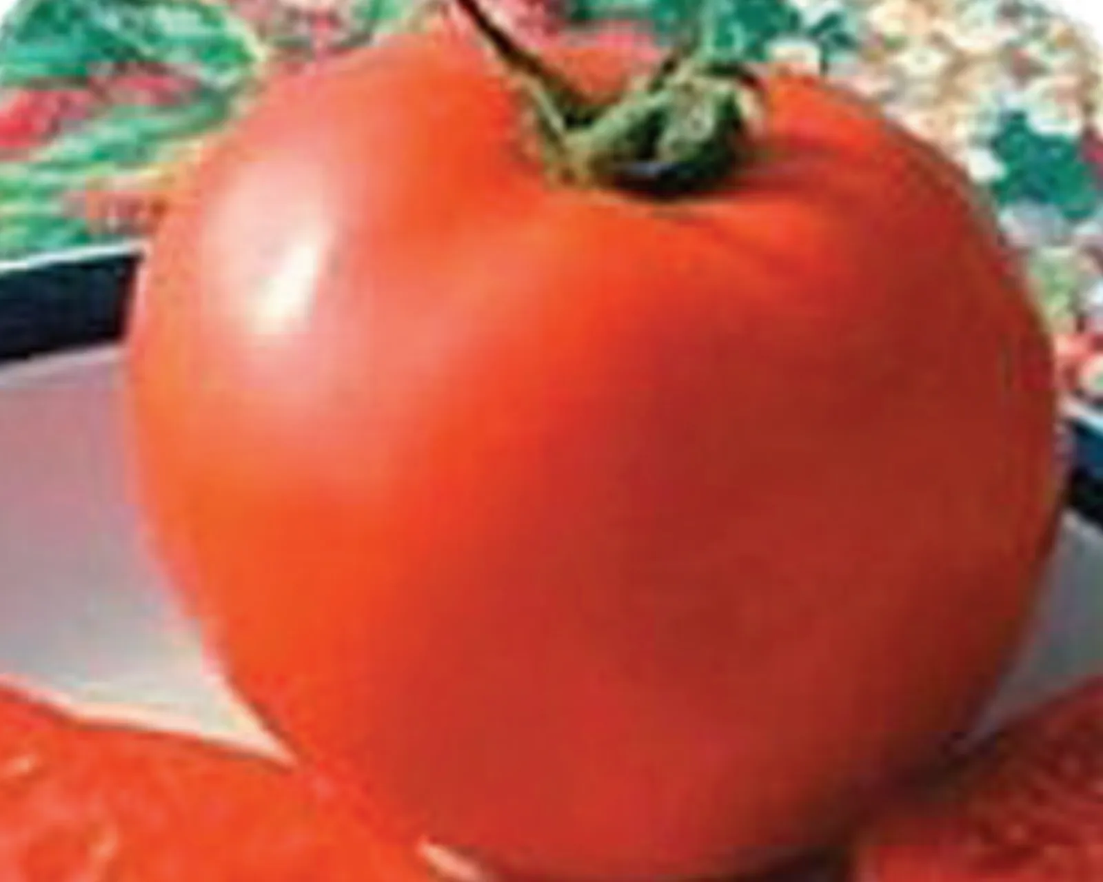 Legend Tomatoes