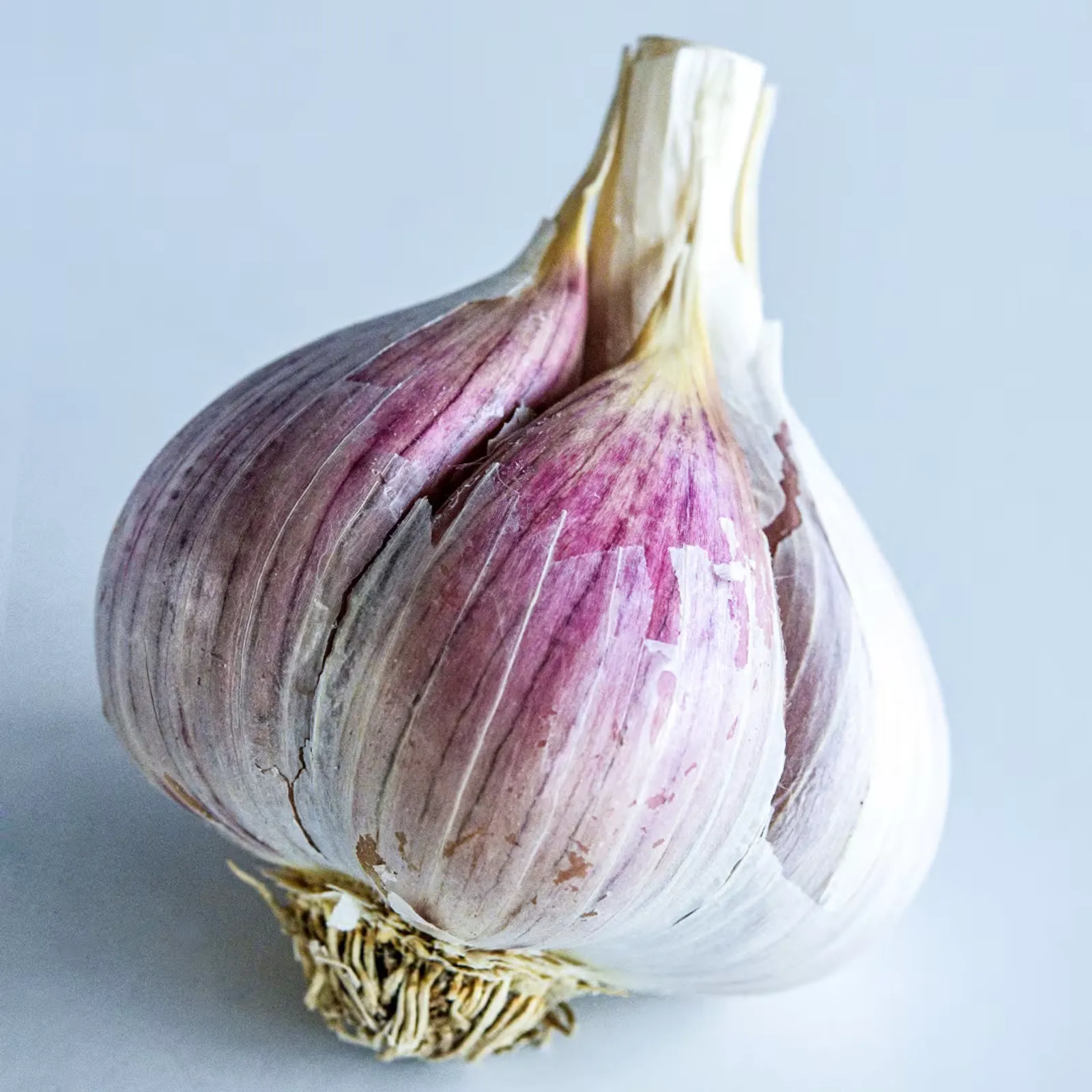 Leningrad Garlic
