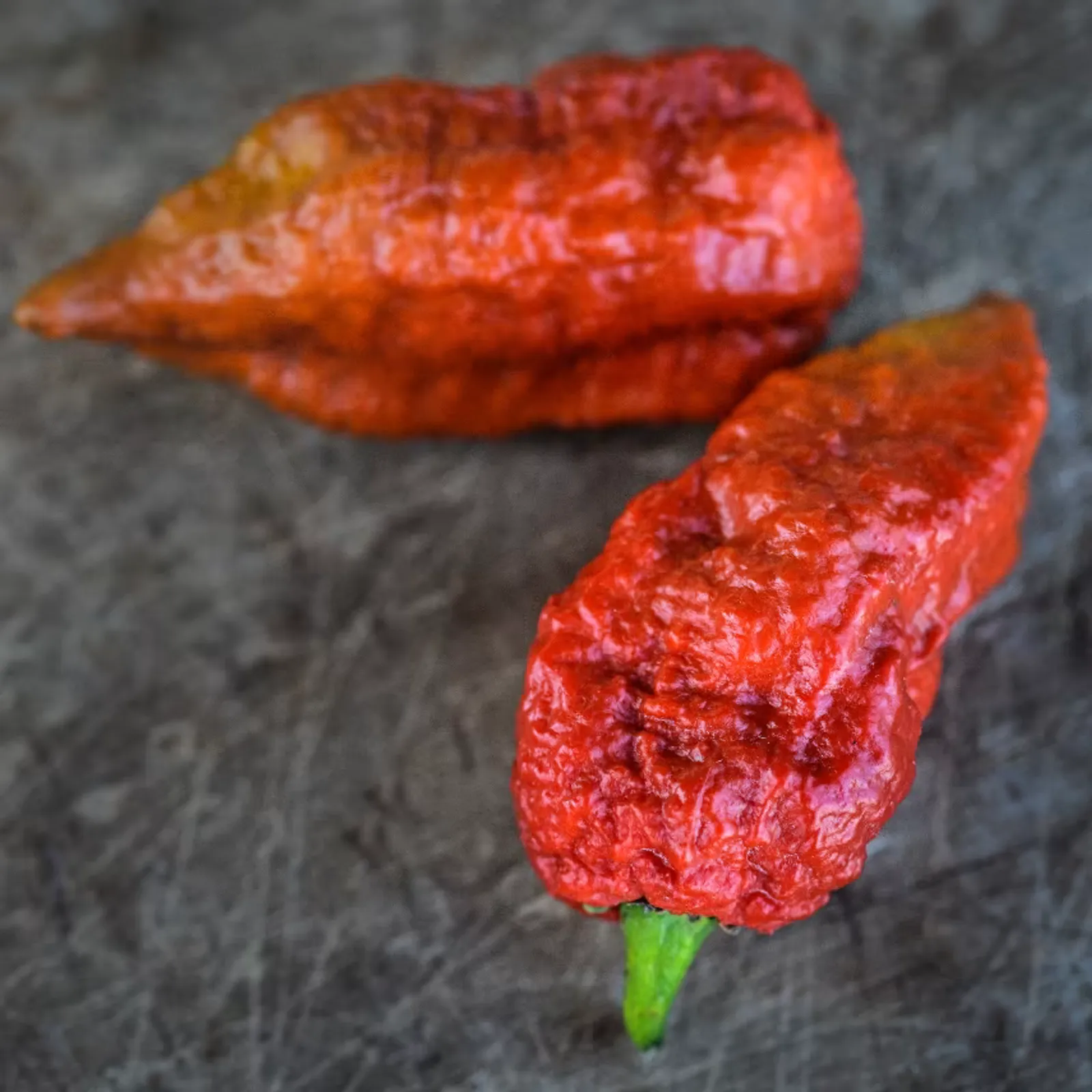 Leviathan Gnarly Scorpion Caramel Peppers