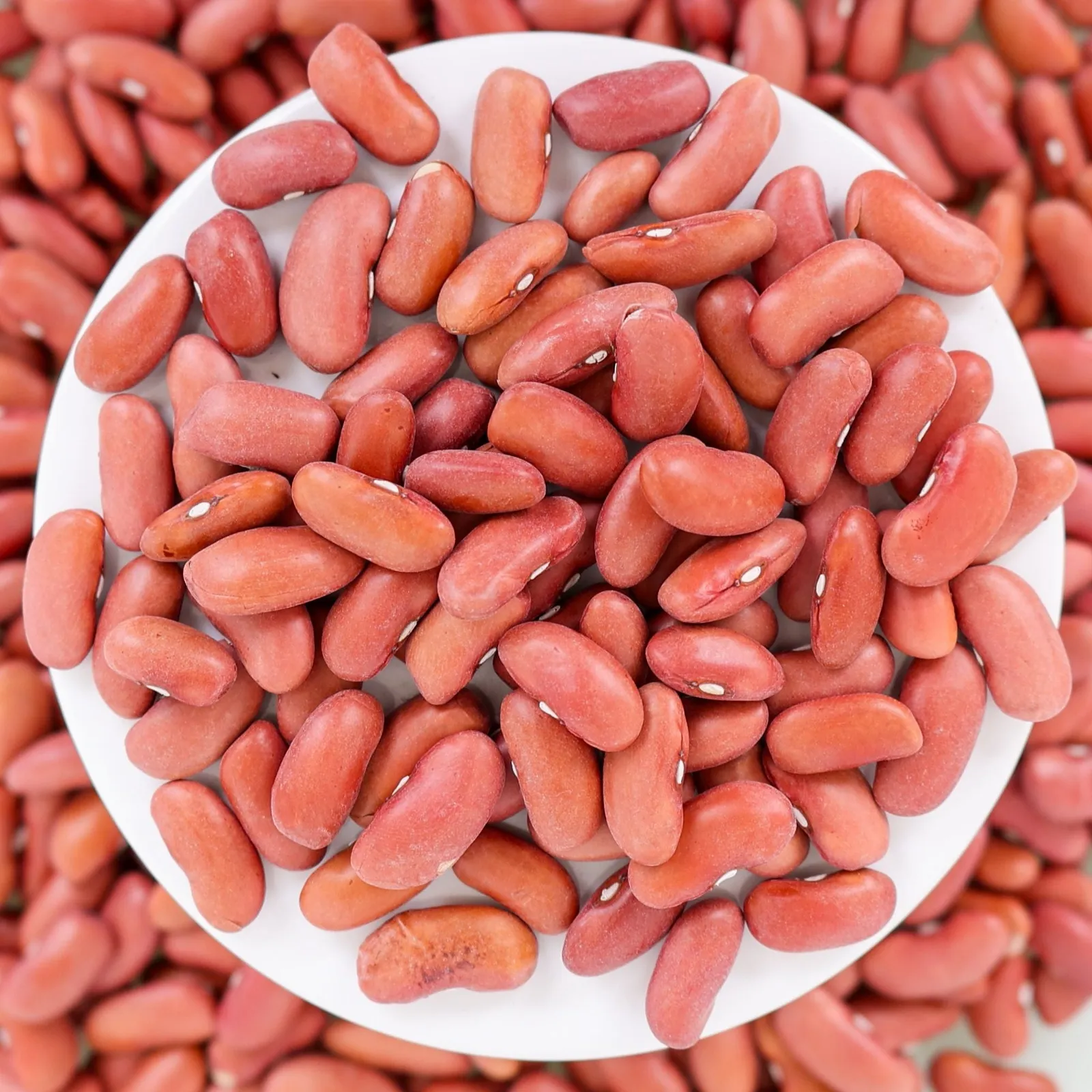 Kidney Beans