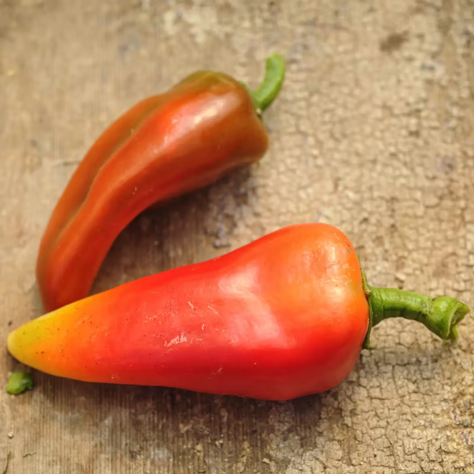 Lipstick Peppers