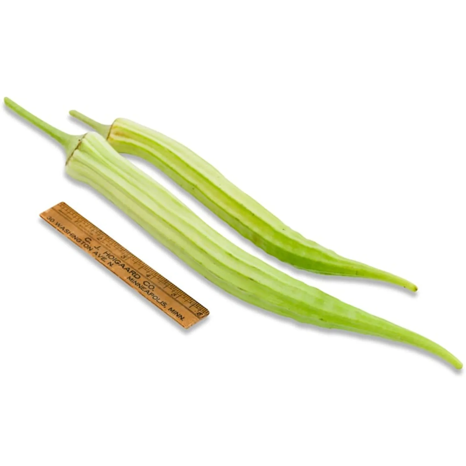 Louisiana 16 Inch Long Pod Okra