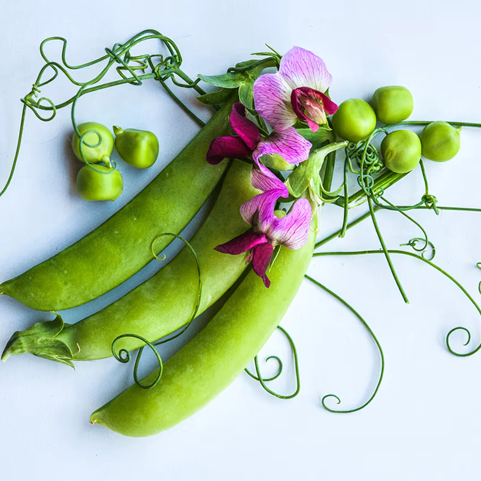 Magnolia Blossom Peas