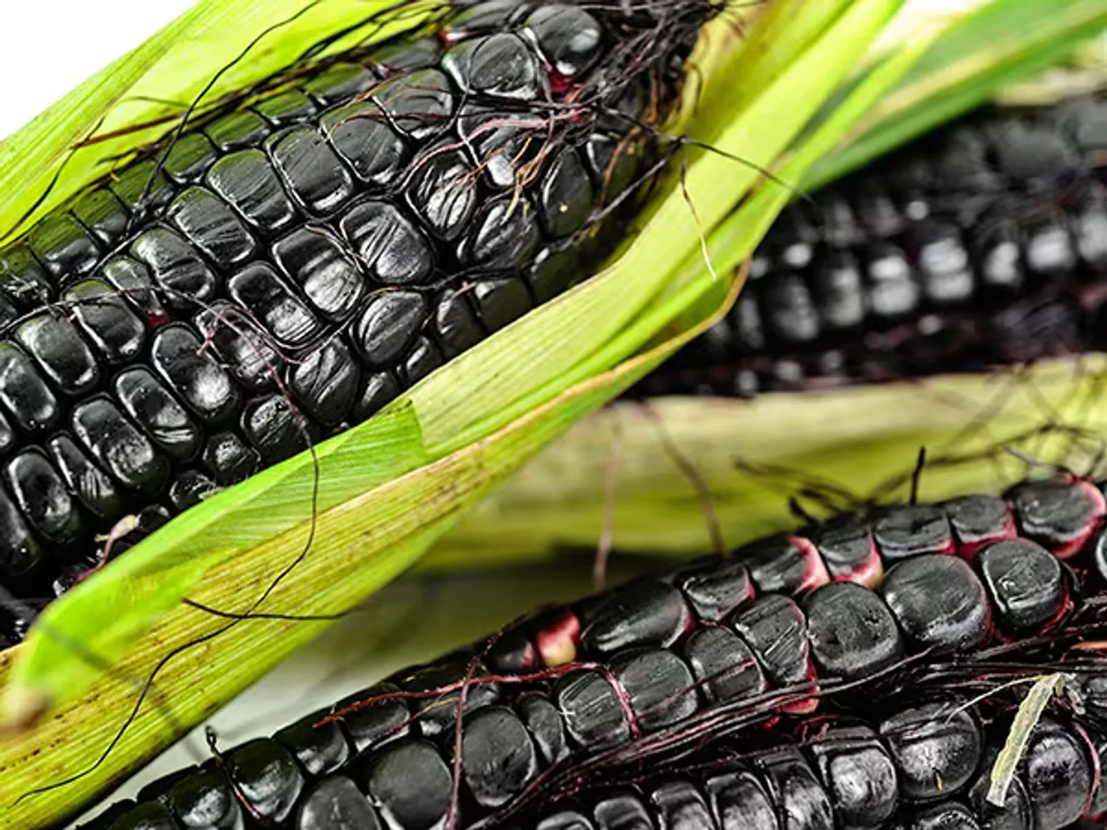 Maiz Morado or Kulli Corn