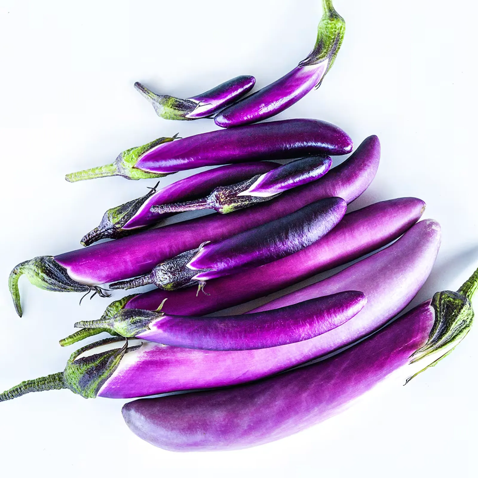 Malaysian Dark Red Eggplant