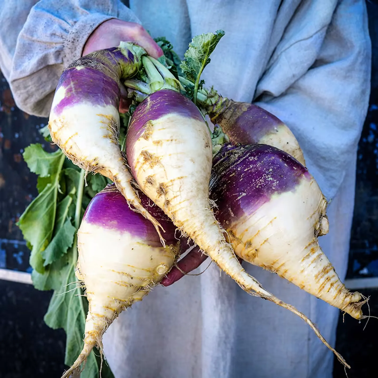 Marian Rutabaga