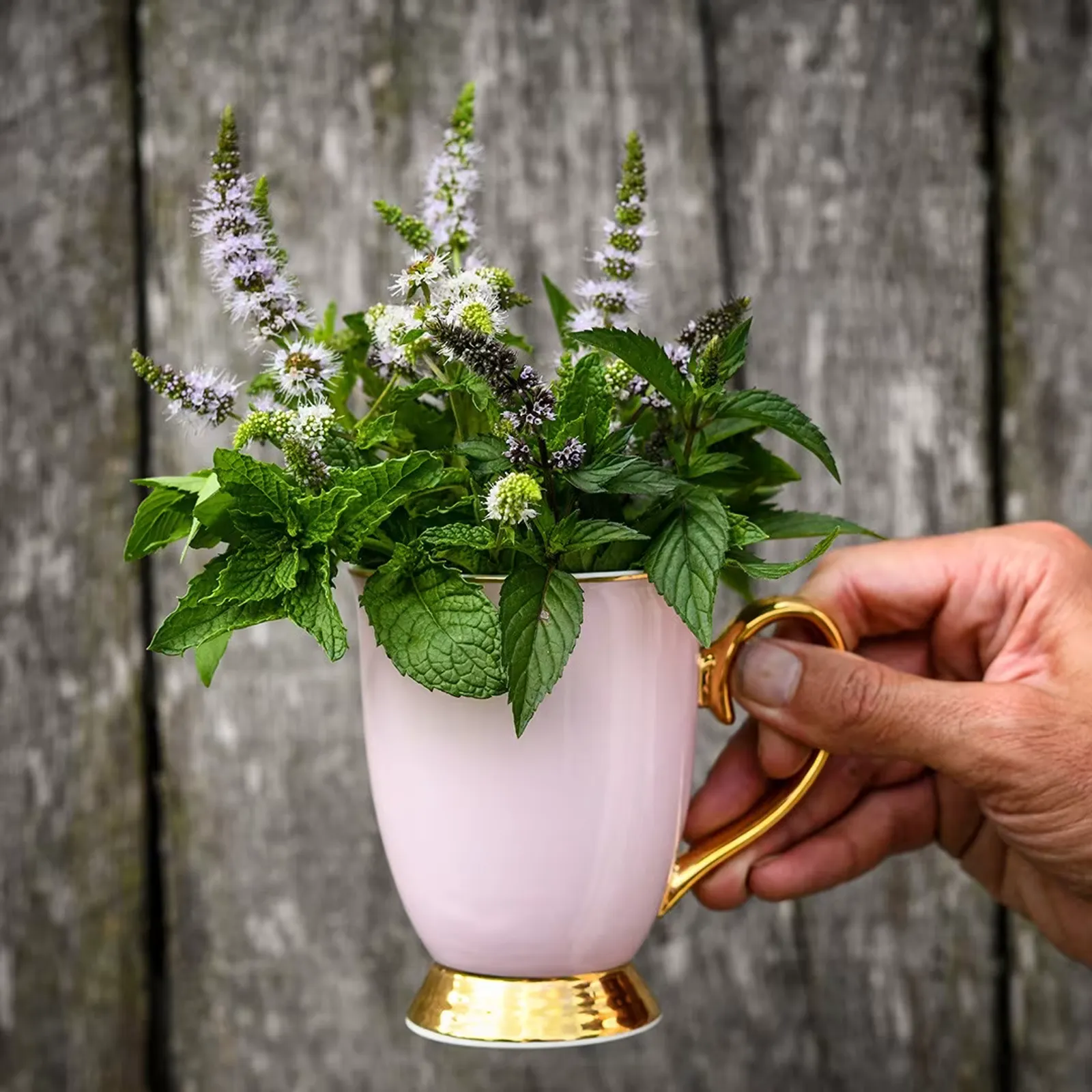 Marvelous Mix Mint
