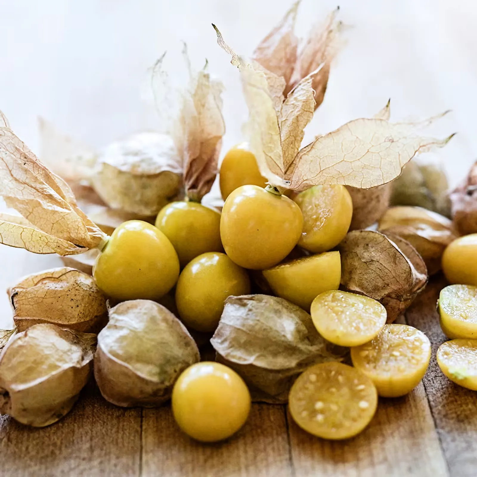 Mary's Niagara Ground Cherries