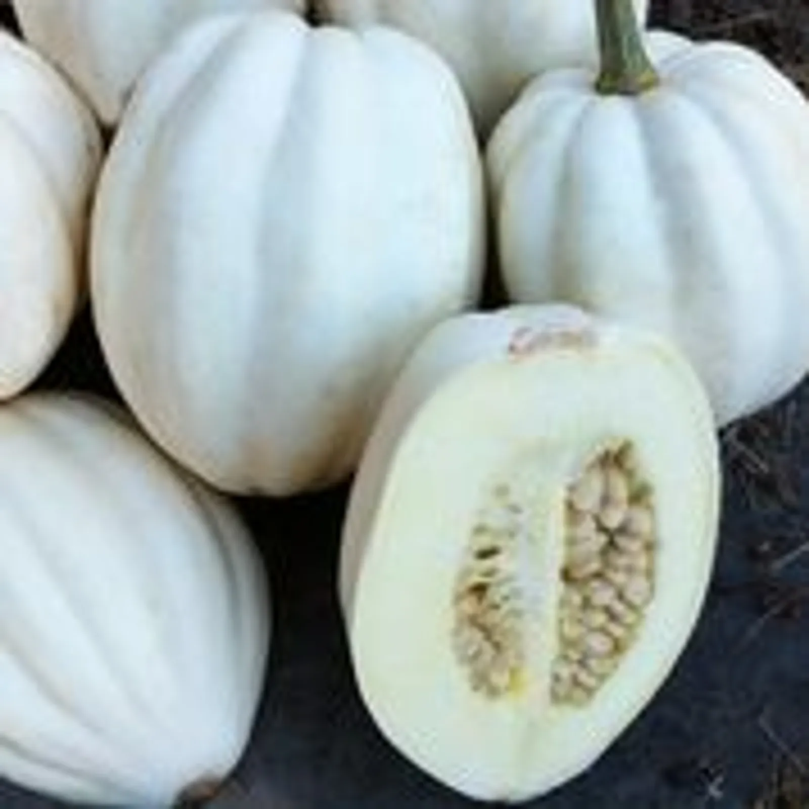 Mashed Potatoes Squash