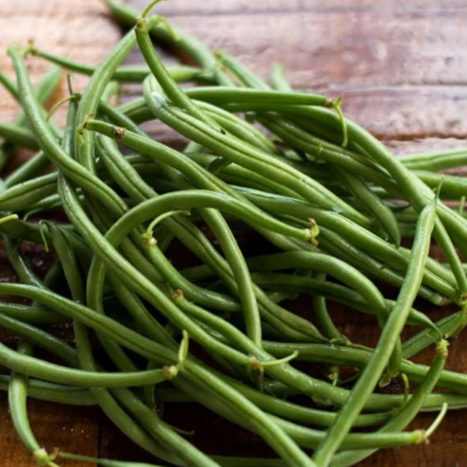 Maxibel Haricot Beans