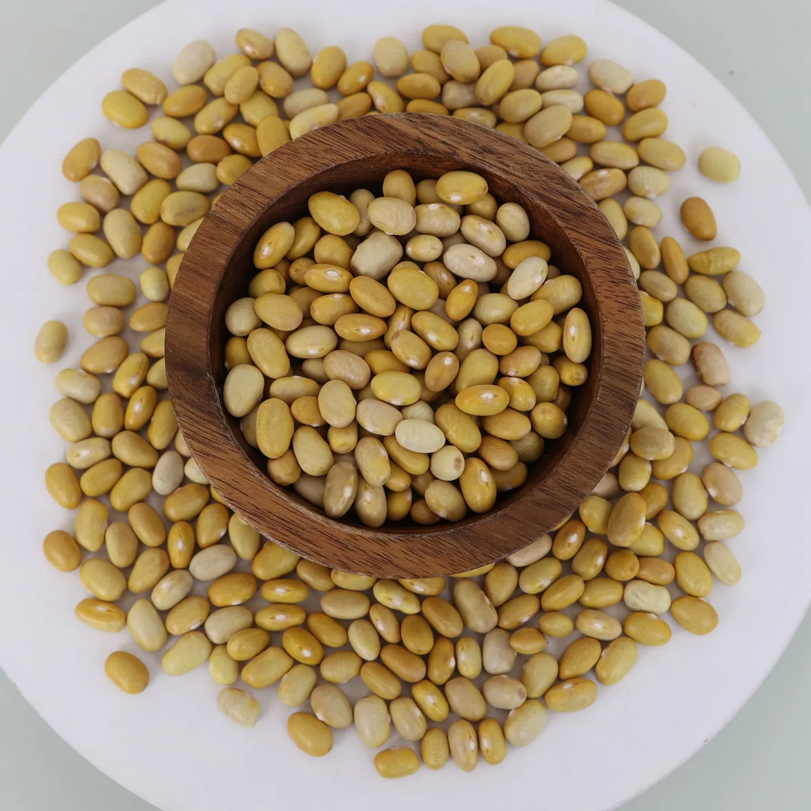 Mayocoba Beans