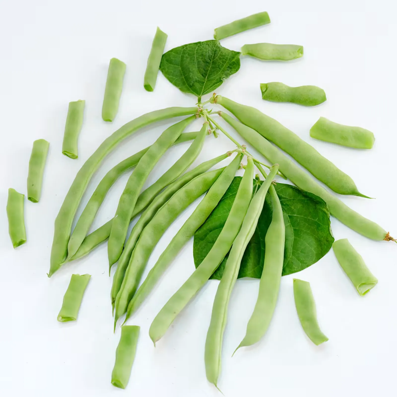 McCaslan 42 Beans