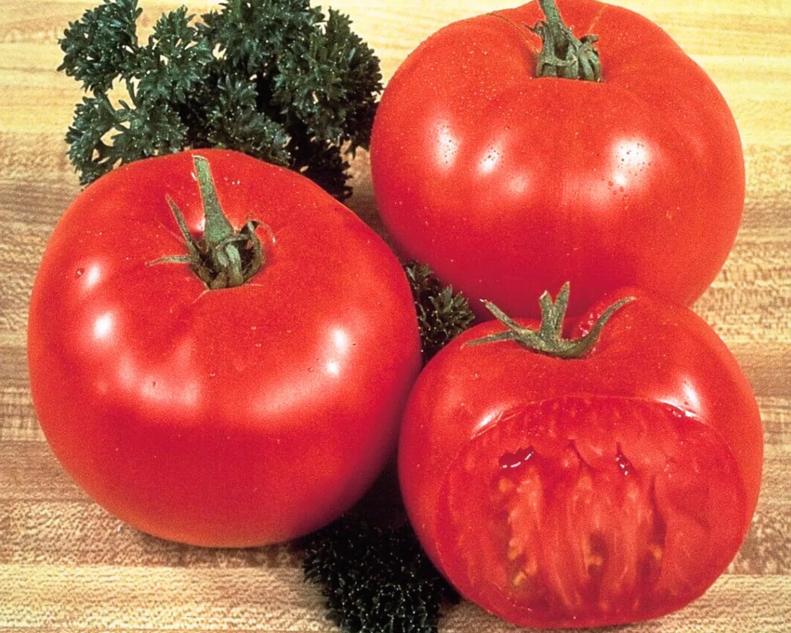 Mega Tom Giant Beefsteak Tomatoes