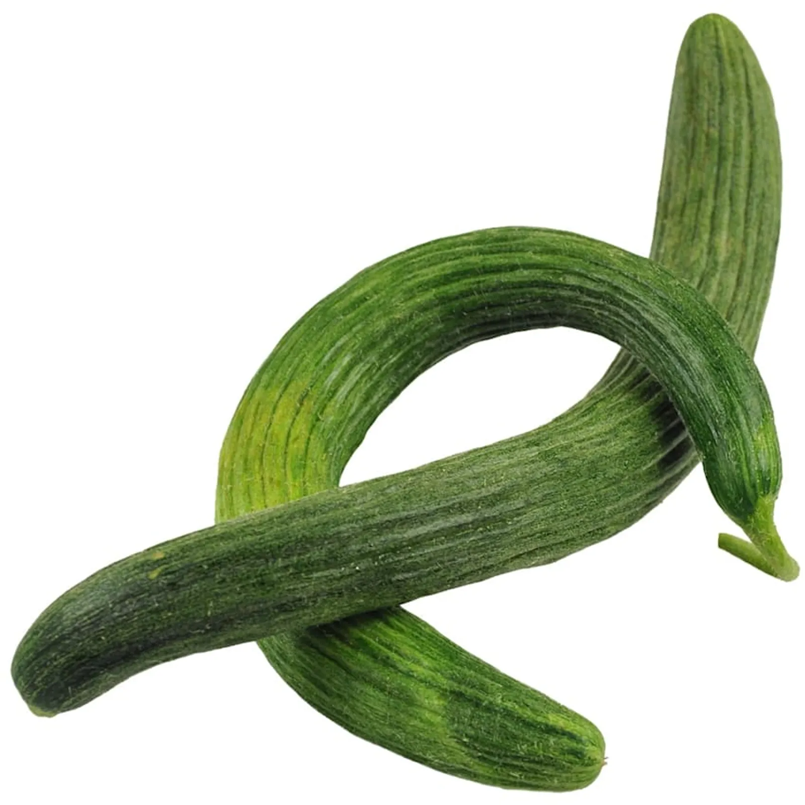 Metki Dark Green Serpent Cucumbers