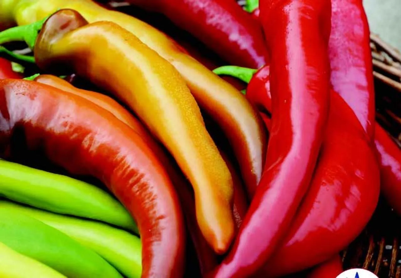 Mexican Sunset Hot Banana Peppers